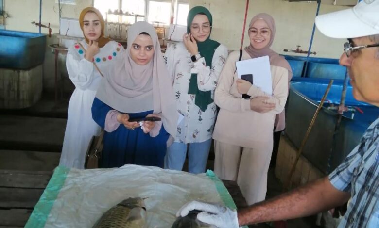 جهاز حماية وتنمية البحيرات والثروة السمكية