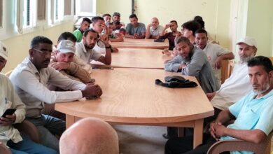قطاع تنمية الثروة الحيوانية والداجنه
