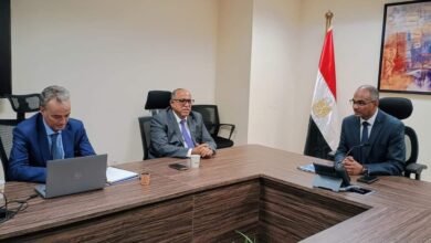 الدكتور سيد إسماعيل