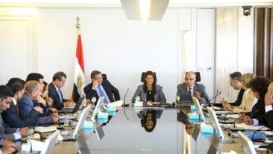 رانيا المشاط