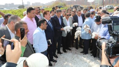 علاء فاروق