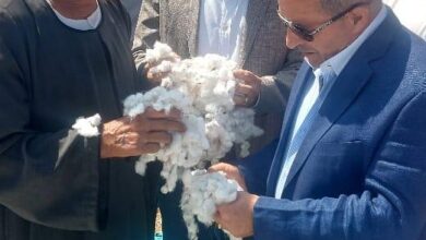 وزارة الزراعة