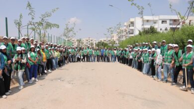 مبادرة الجذور الخضراء
