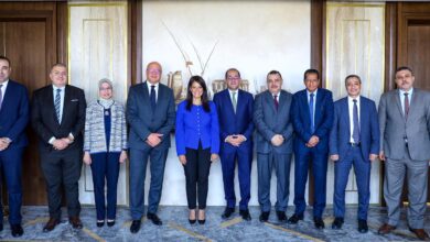 رانيا المشاط