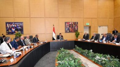 الشربيني