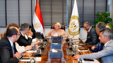 ياسمين فؤاد