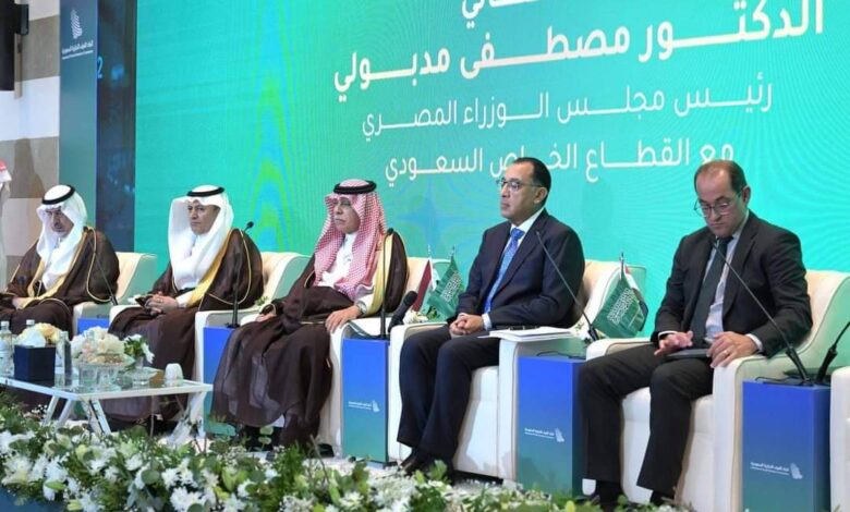 وزير الاستثمار