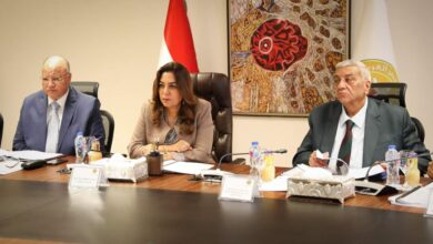 وزارة التنمية المحلية