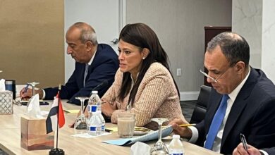 رانيا المشاط