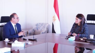 رانيا المشاط
