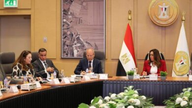 وزيرة التنمية المحلية