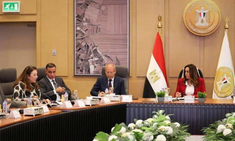 وزيرة التنمية المحلية