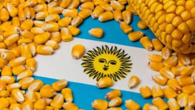 حبوب الأرجنتين