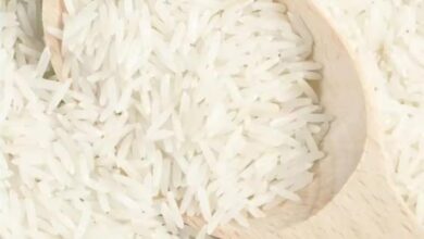 مضارب البحيرة