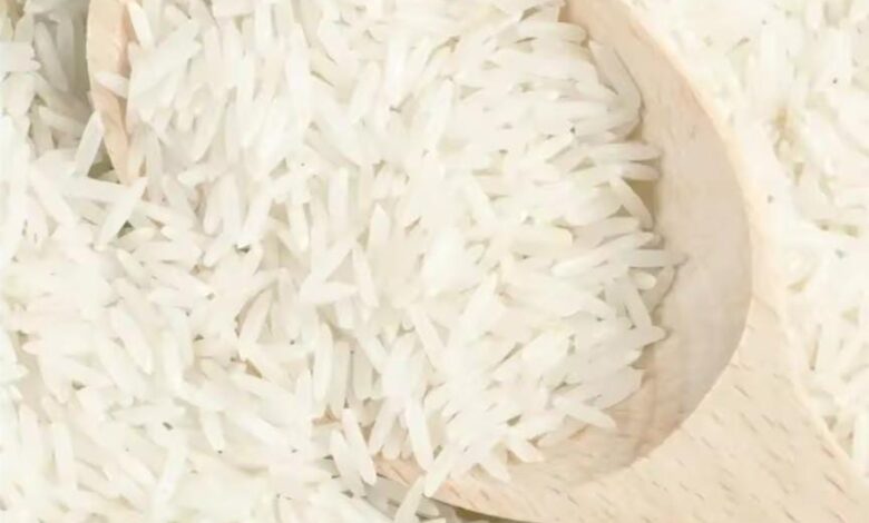 مضارب البحيرة