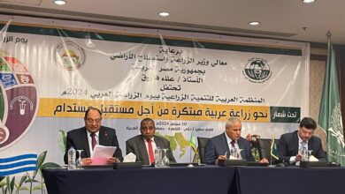 مصطفى الصياد