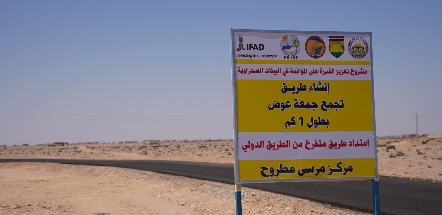الزراعة