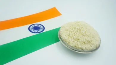 الأرز البسمتي