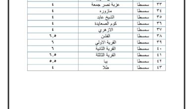 التعريفة الجديدة لركوب سيارات الأجرة ببني سويف
