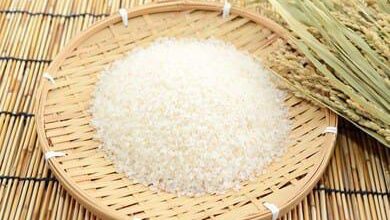 أسعار الأرز الشعير اليوم