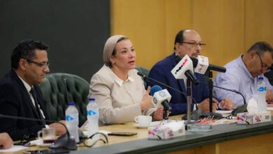 ياسمين فؤاد
