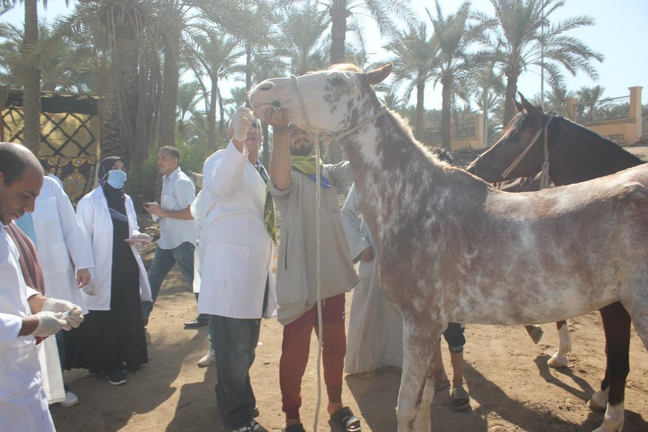 الخدمات البيطرية
