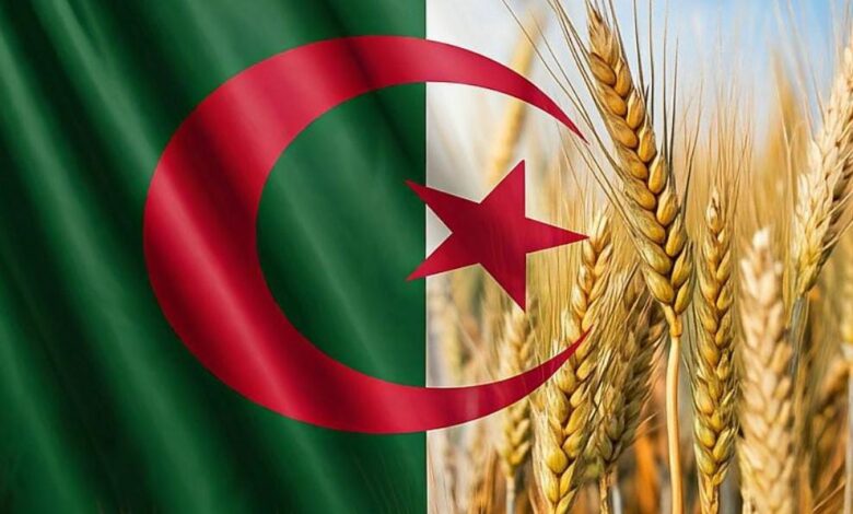 الجزائر تستورد القمح الروسي