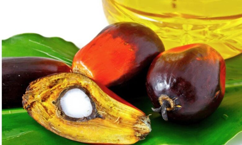 زيت النخيل