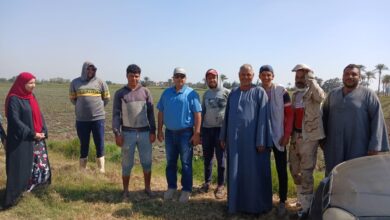 الإدارة المركزية للإرشاد الزراعي