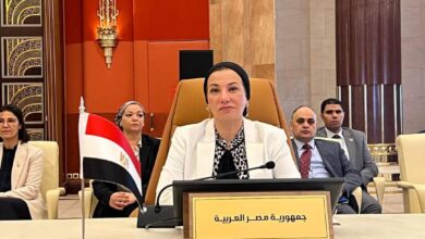 ياسمين فؤاد