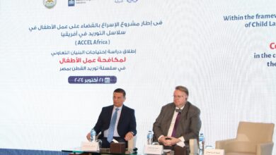 علاء فاروق