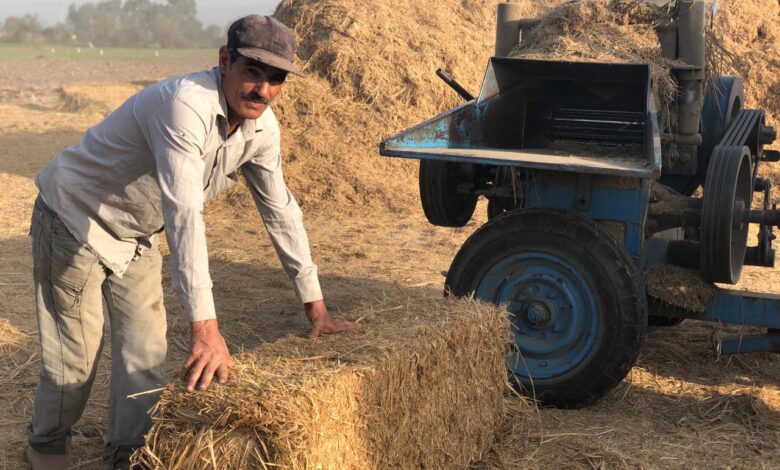 تدوير قش الأرز