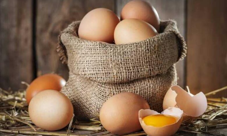 أسعار البيض