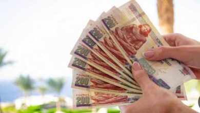 صرف منح رمضان للعاملين