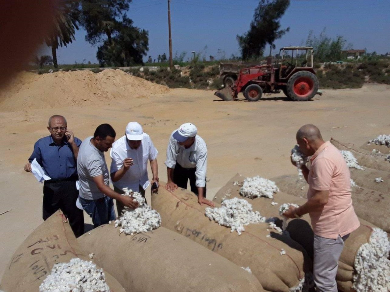 منظومة تداول القطن
