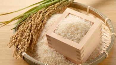 تقاوي الأرز