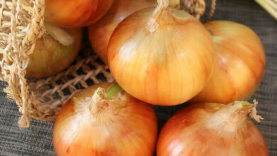 موجة غلاء جديدة