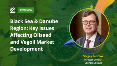 منطقة البحر الأسود