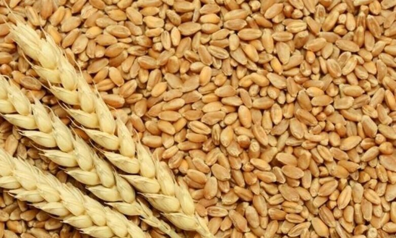 العراق