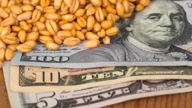 أسعار الحبوب العالمية