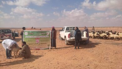 الزراعة