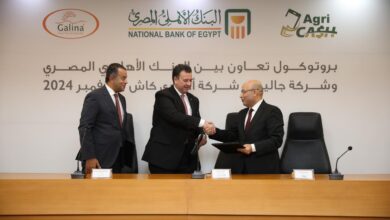 Dhabi Bank Misr