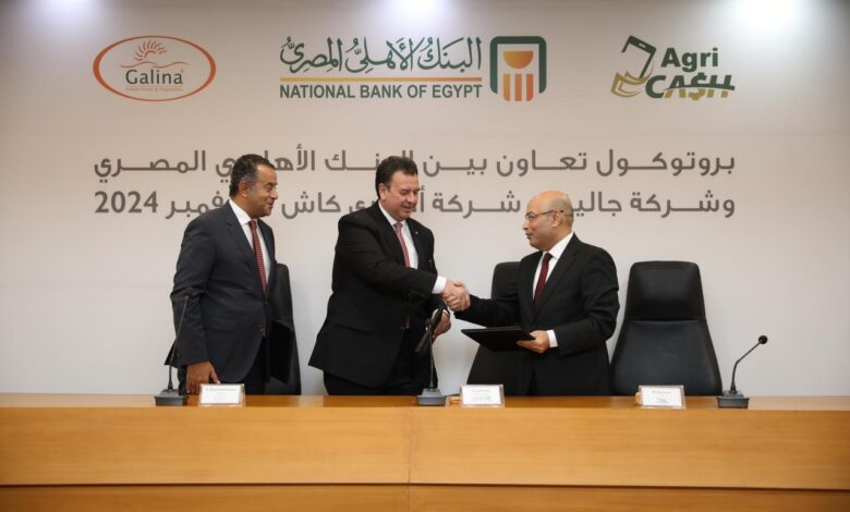 Dhabi Bank Misr