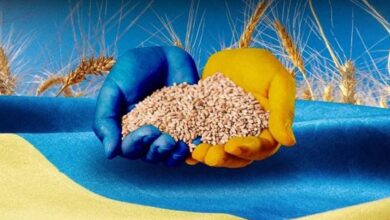 ألمانيا تعزز وارداتها