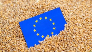 المفوضية الأوروبية