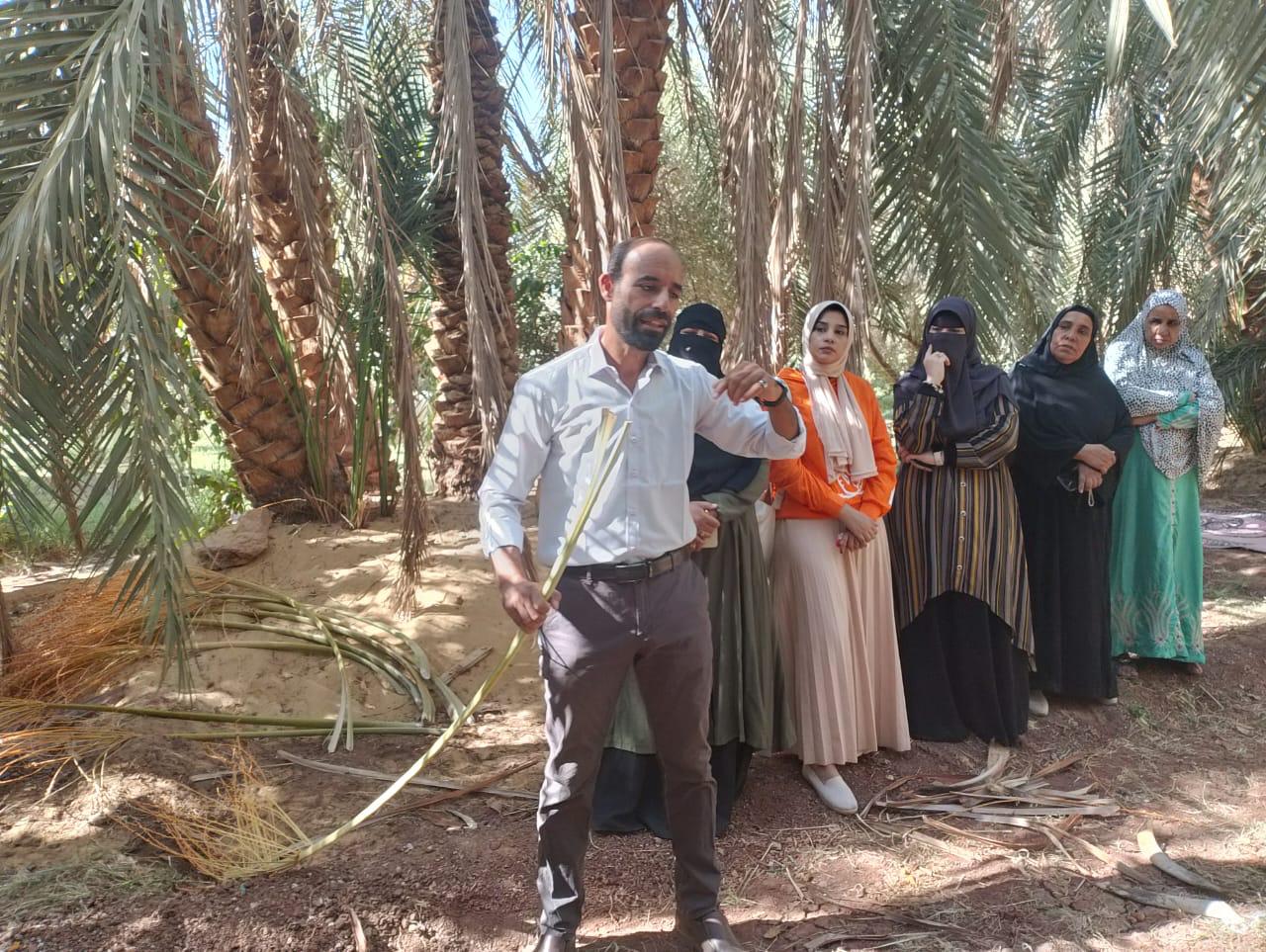 الزراعة