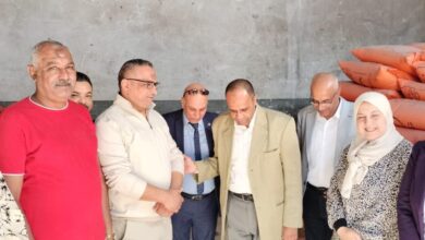 أنور عيسى