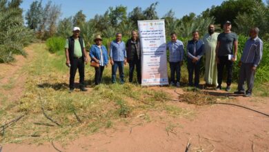 مشروع الزراعة الصحراوية