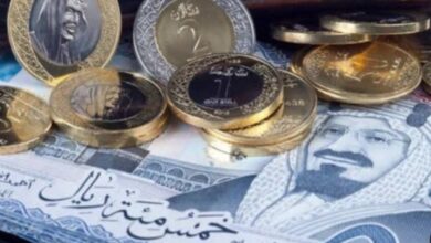 سعر الريال السعودي مقابل الجنية المصري
