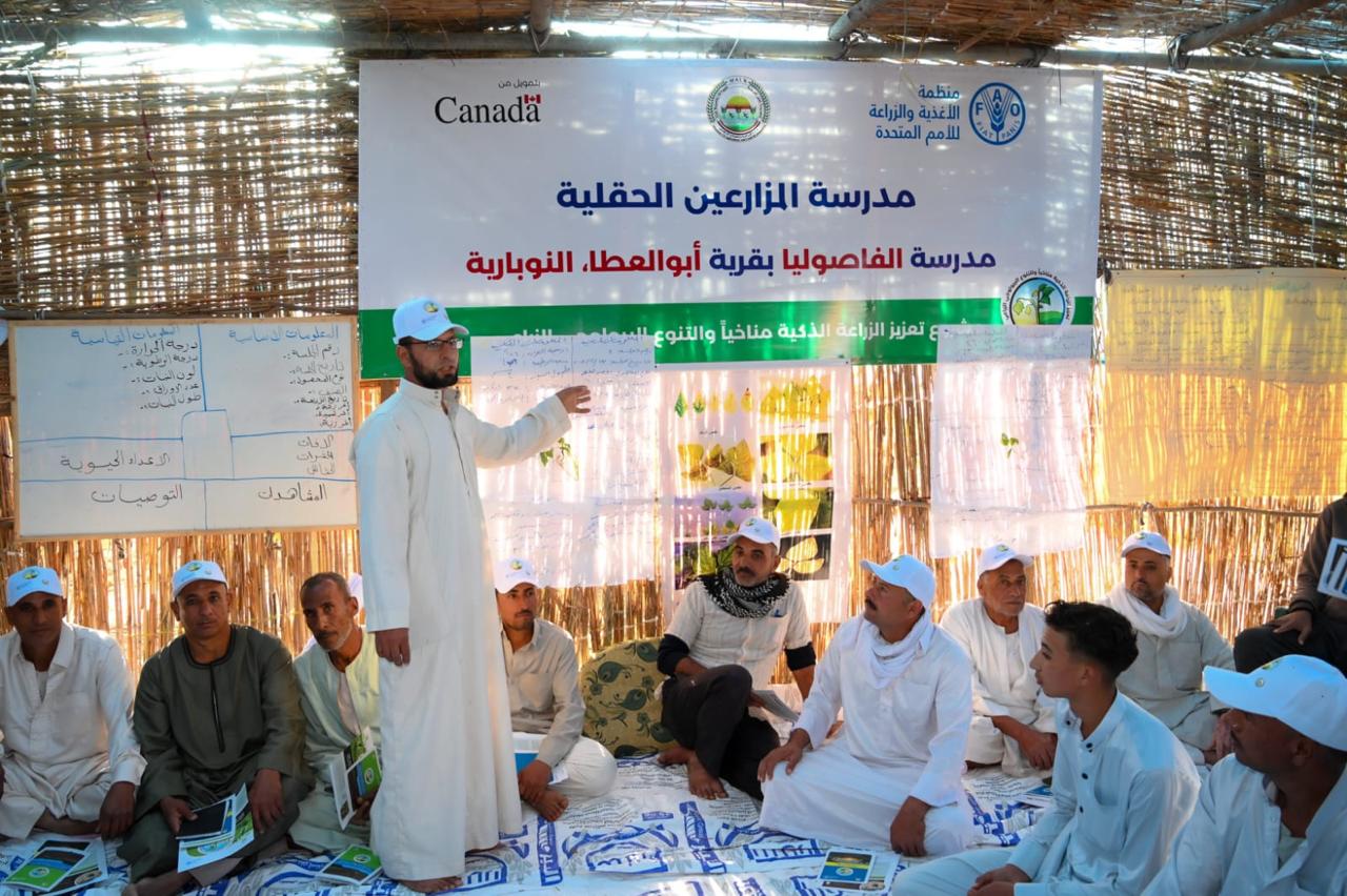 قطاع استصلاح الأراضي والسفارة الكندية